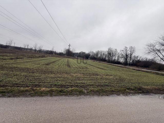 Eladó mezogazdasagi ingatlan, Baracskán 12.99 M Ft