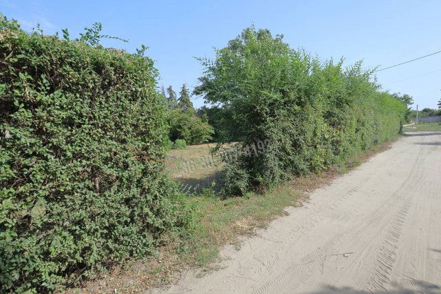 Eladó telek, Szatymazon 9.9 M Ft / költözzbe.hu