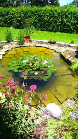 Eladó családi ház, Nagykanizsán 120 M Ft, 3 szobás