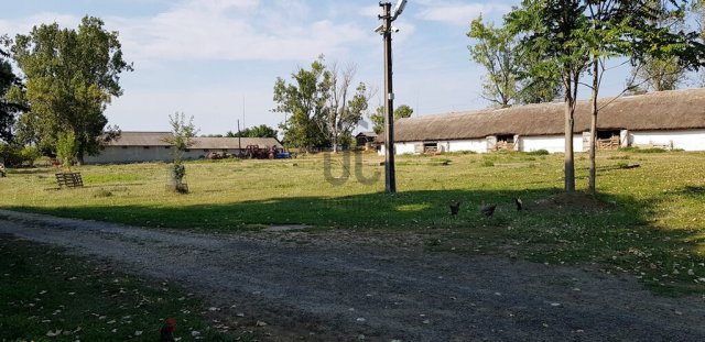 Eladó családi ház, Nagytarcsán 150 M Ft, 2 szobás