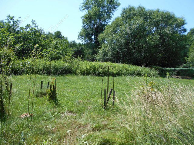 Eladó családi ház, Hegyhátszentjakabon 28 M Ft, 2 szobás