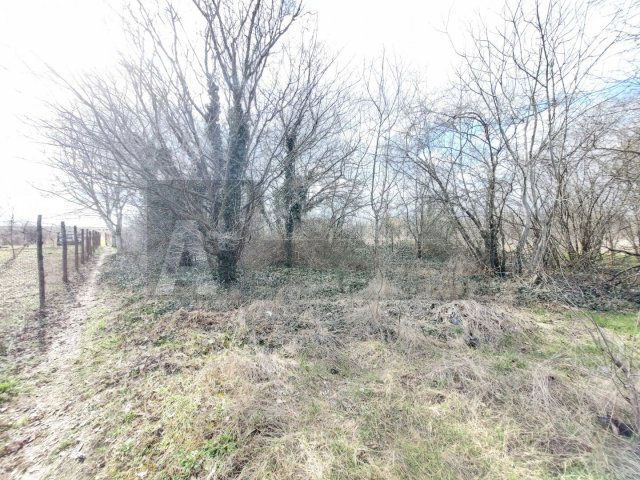 Eladó mezogazdasagi ingatlan, Szegeden 3.3 M Ft