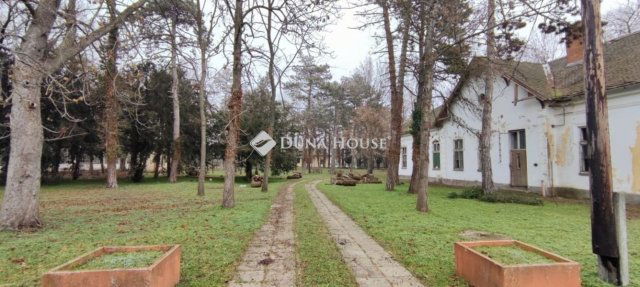 Eladó családi ház, Hódmezővásárhelyen 250 M Ft, 5 szobás