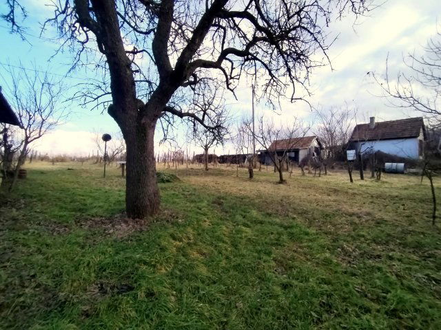 Eladó mezogazdasagi ingatlan, Marcaliban 5 M Ft, 1 szobás