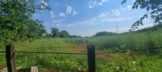 Eladó családi ház, Nemesdéden 24.8 M Ft, 4 szobás