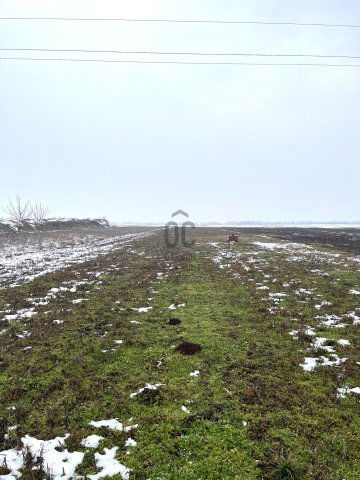 Eladó telek, Polgárdin 4.8 M Ft / költözzbe.hu