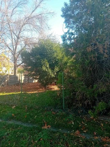 Eladó családi ház, Gyomaendrődön 28.99 M Ft, 6+1 szobás