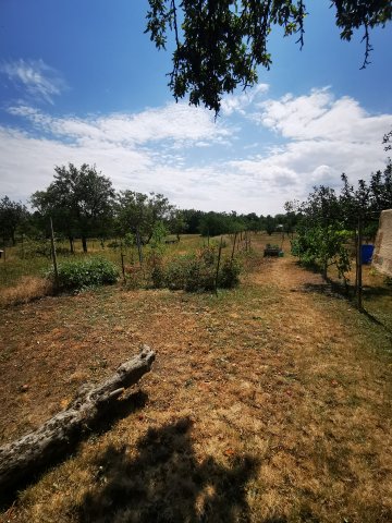 Eladó családi ház, Tordason 135.45 M Ft, 5 szobás