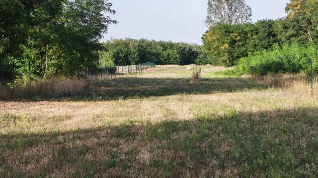 Eladó telek, Pilisen 4.9 M Ft / költözzbe.hu