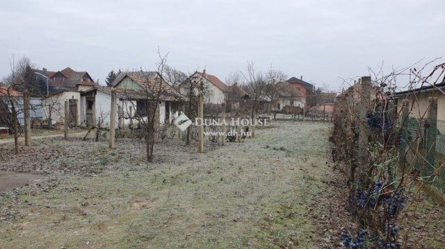 Eladó családi ház, Tápiószecsőn 50 M Ft, 3 szobás