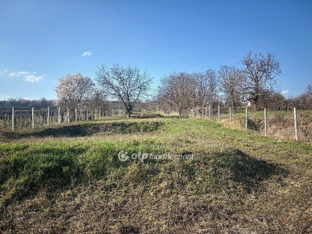 Eladó telek, Tökön 29.9 M Ft / költözzbe.hu