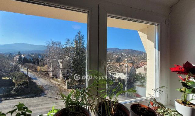 Eladó családi ház, Dunabogdányban 250 M Ft, 11 szobás