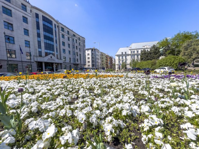 Eladó téglalakás, Budapesten, II. kerületben, Bem József utcában