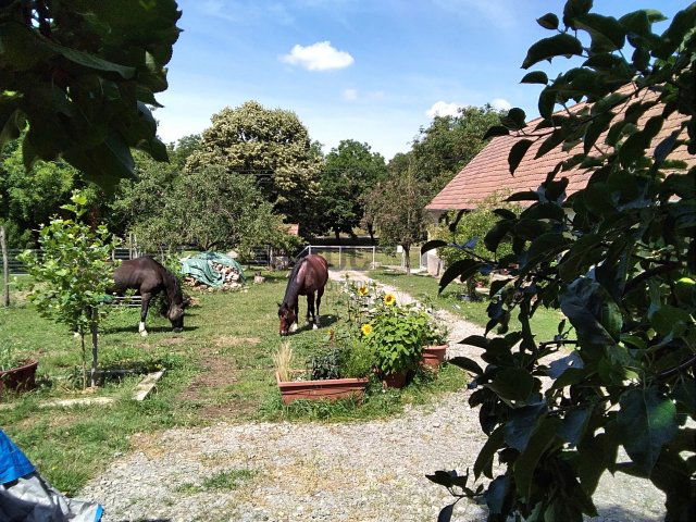 Eladó családi ház, Somogyhárságyon 22.9 M Ft, 3 szobás