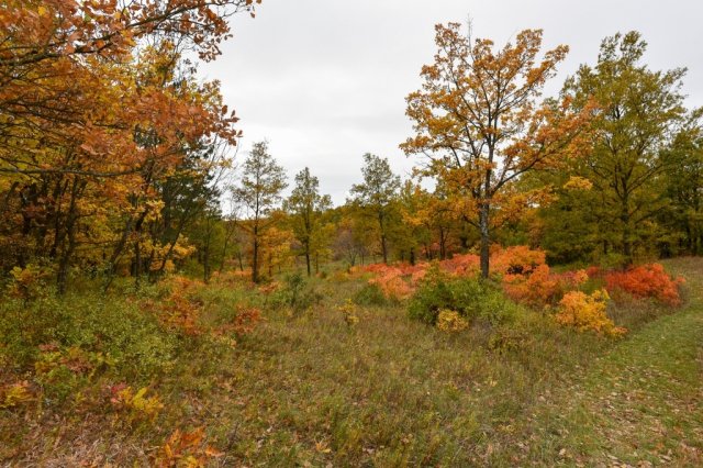 Eladó telek, Pécselyen 19.99 M Ft / költözzbe.hu