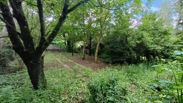 Eladó telek, Remeteszőlősön, Nagykovácsi úton 73 M Ft