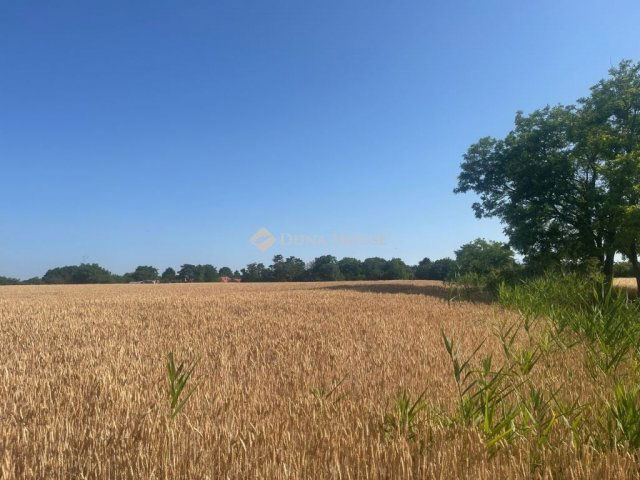 Eladó telek, Balatonszabadiban 39.99 M Ft / költözzbe.hu