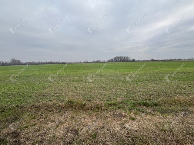 Eladó telek, Csévharaszton 120 M Ft / költözzbe.hu