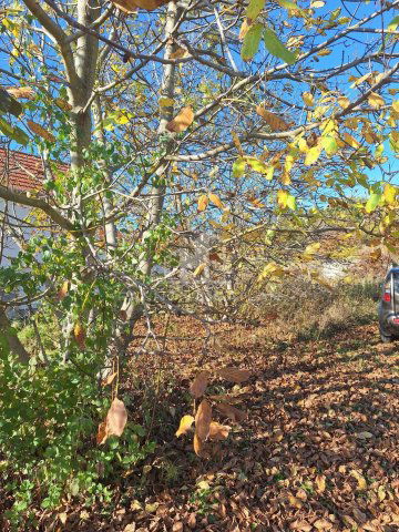 Eladó telek, Magyarpolányban 9.7 M Ft / költözzbe.hu