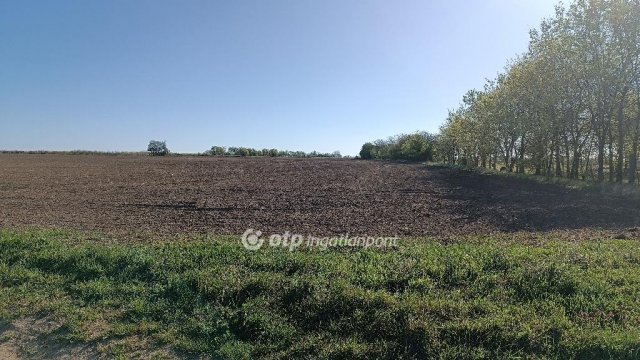 Eladó mezogazdasagi ingatlan, Érden 11.9 M Ft