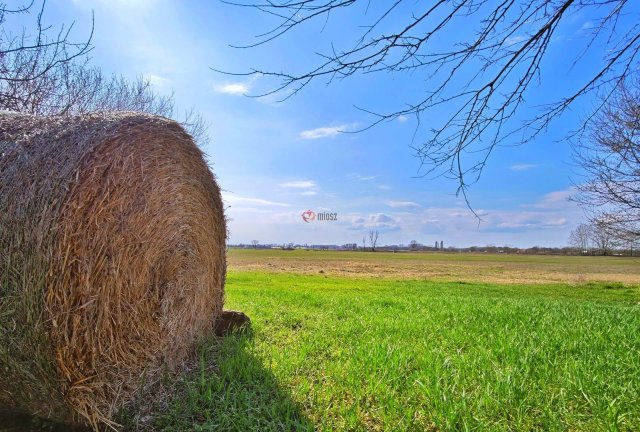 Eladó mezogazdasagi ingatlan, Forráskúton 26.9 M Ft, 3 szobás