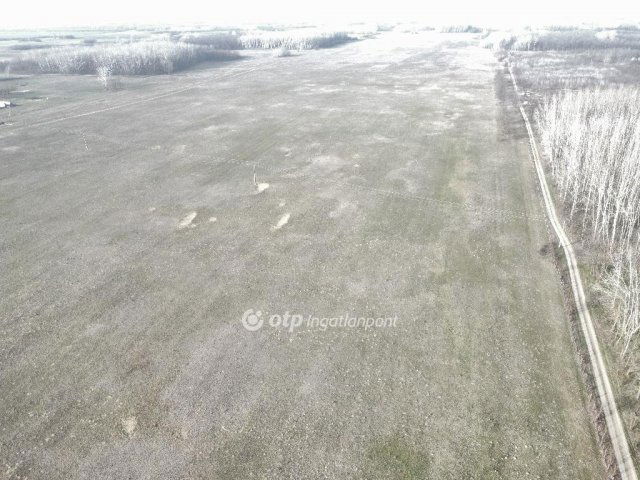 Eladó mezogazdasagi ingatlan, Bácsalmáson 728 M Ft