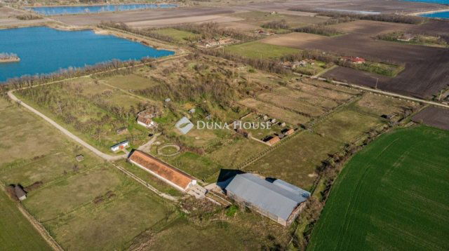 Eladó mezogazdasagi ingatlan, Délegyházán 139 M Ft
