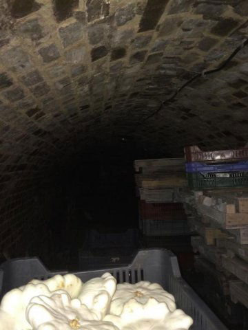 Eladó mezogazdasagi ingatlan, Pakson 10 M Ft / költözzbe.hu