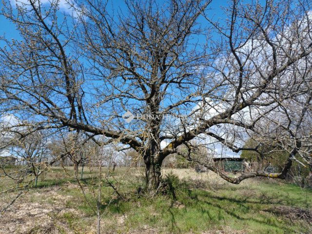 Eladó telek, Únyon 7 M Ft / költözzbe.hu