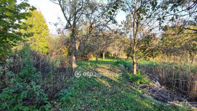 Eladó családi ház, Zalaszántón 39.9 M Ft, 3 szobás