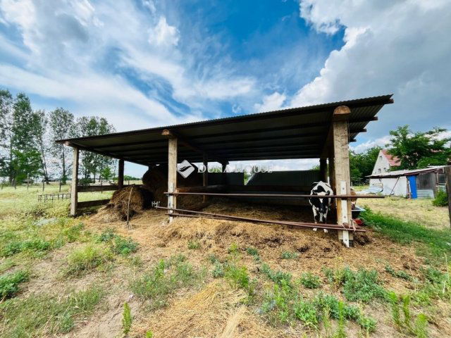 Eladó családi ház, Balástyán 28.9 M Ft, 3 szobás