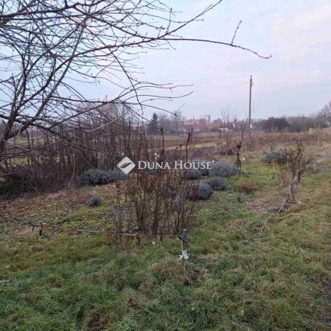 Eladó telek, Körmenden, Lenkei utcában 0.99 M Ft