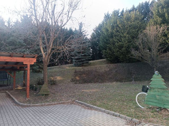 Kiadó téglalakás, albérlet, Ajkán, Tölgyfa utcában