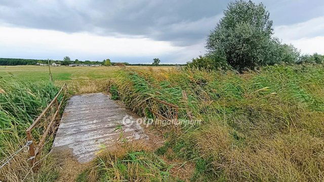 Eladó mezogazdasagi ingatlan, Tóalmáson 230 M Ft
