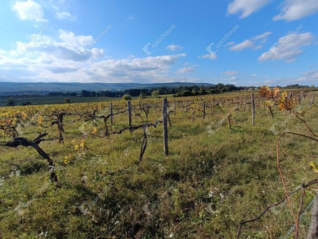 Eladó telek, Harkán 4.4 M Ft / költözzbe.hu