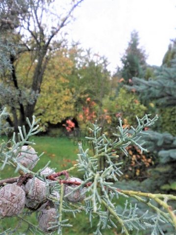 Eladó telek, Telkin 160 M Ft / költözzbe.hu