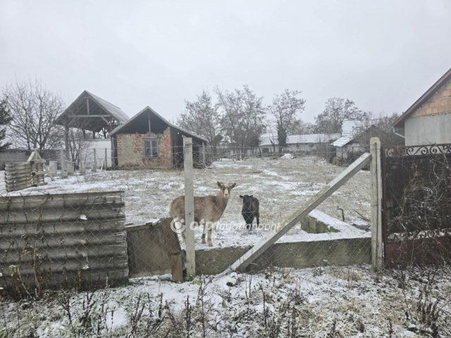 Eladó telek, Kabán 7.8 M Ft / költözzbe.hu