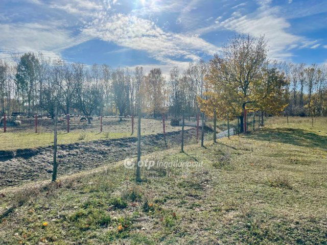 Eladó telek, Hosszúpályin 5.99 M Ft / költözzbe.hu