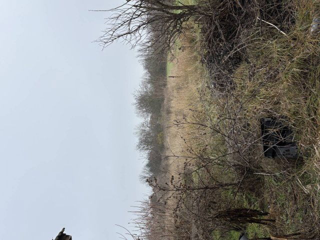 Eladó családi ház, Tiszanánán 17 M Ft, 4 szobás