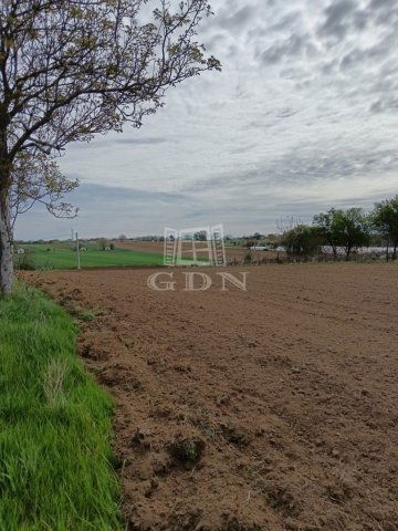 Eladó mezogazdasagi ingatlan, Balatonendréden 5.2 M Ft