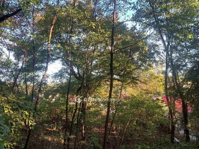 Eladó telek, Egerszalókon 22.6 M Ft / költözzbe.hu