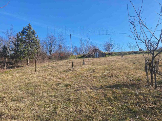 Eladó mezogazdasagi ingatlan, Tamásiban 2.15 M Ft, 1 szobás