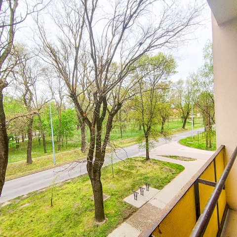Kiadó téglalakás, albérlet, Nagykőrösön 130 E Ft / hó