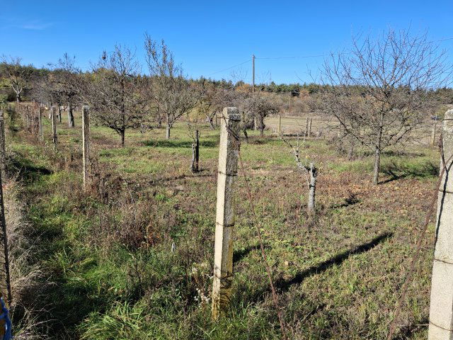 Eladó mezogazdasagi ingatlan, Debrecenben 6.5 M Ft