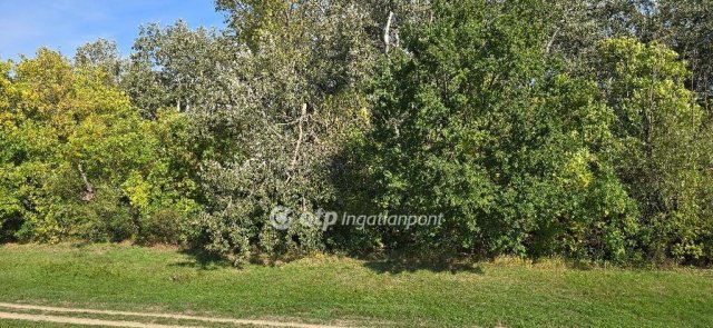 Eladó nyaraló, Szarvason 19.9 M Ft, 1+1 szobás