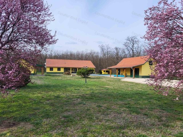 Eladó mezogazdasagi ingatlan, Nagykőrösön 75 M Ft, 4 szobás