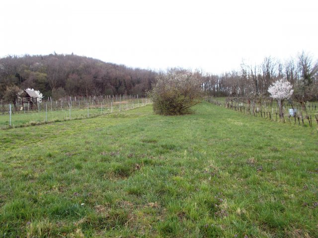 Eladó telek, Szigligeten 60 M Ft / költözzbe.hu