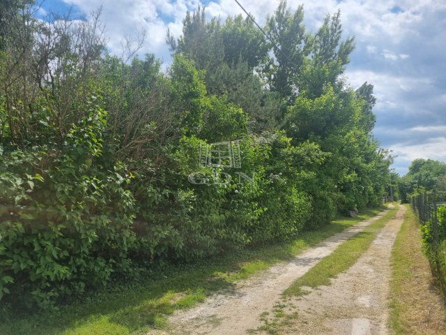 Eladó családi ház, Székesfehérvárott 15.8 M Ft, 1 szobás