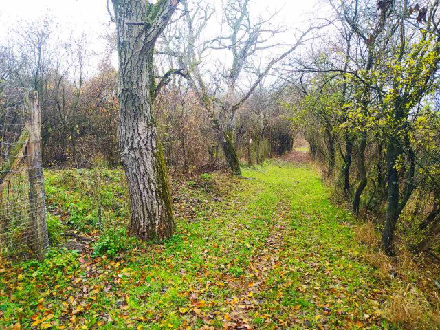 Eladó mezogazdasagi ingatlan, Verőcén 18.99 M Ft