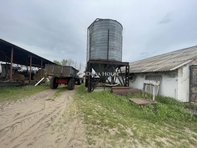 Eladó mezogazdasagi ingatlan, Domaszéken 160 M Ft